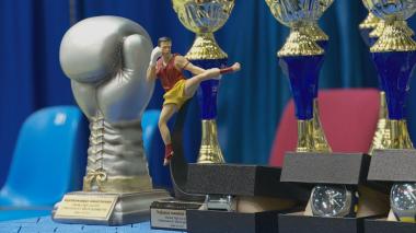 Arkowiec Fight Cup