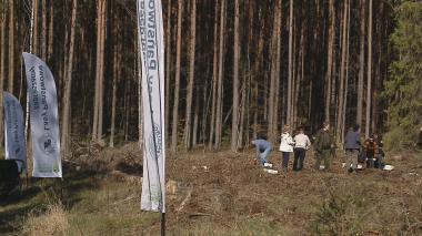 Sadzenie lasu w leśnictwie Orle