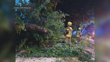 Wichura na Kaszubach – strażacy informują o powalonych drzewach