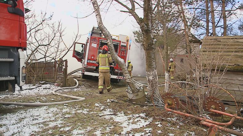Zwierzęta zginęły w pożarze w Szemudzie