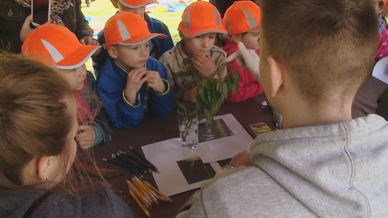 „Po wiedzę do lasu”