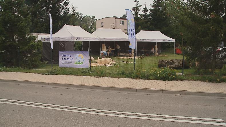 Plener rzeźbiarski w Kielnie