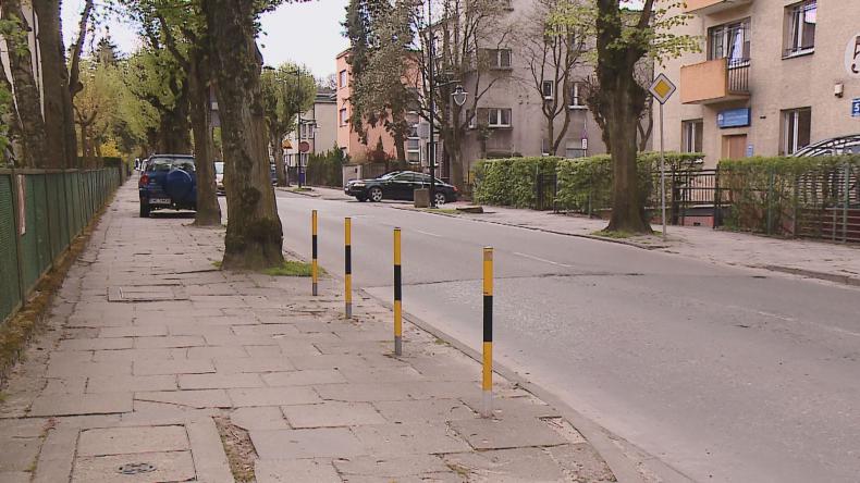 Drzewa kością niezgody w Wejherowie