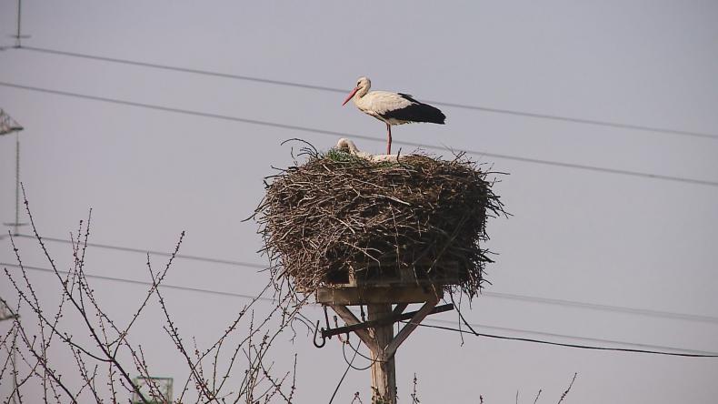 Pogoda na święta pozytywnie zaskoczy