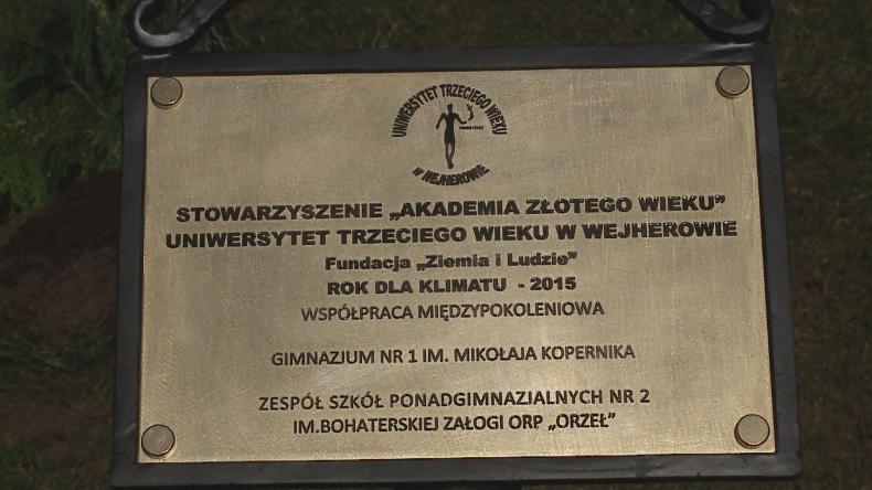 Zasadzili cyprysiki dla pokoleń