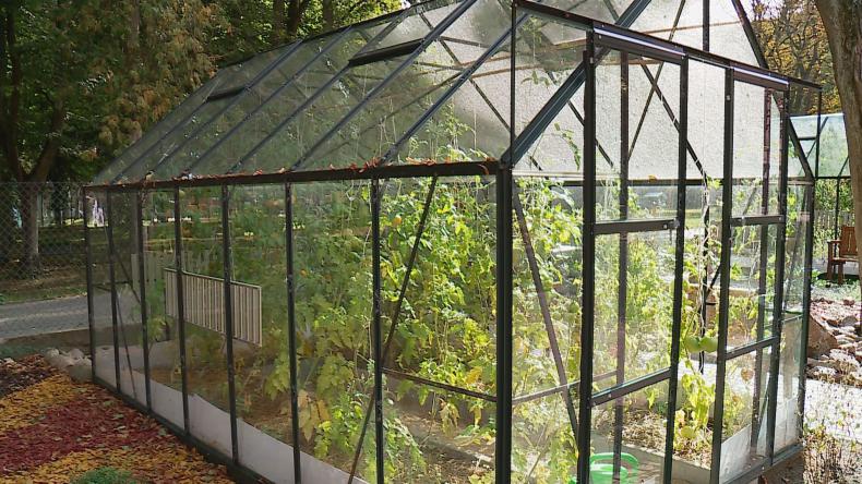 Jesienne zbiory w wejherowskiej placówce