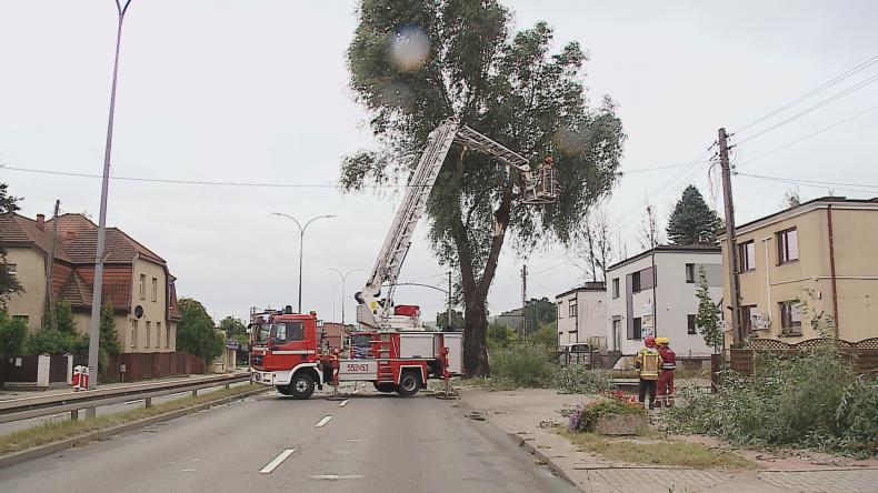 Na DK6 runęły gałęzie drzewa