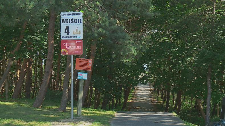 Wiewiórka wskaże drogę zagubionym dzieciom