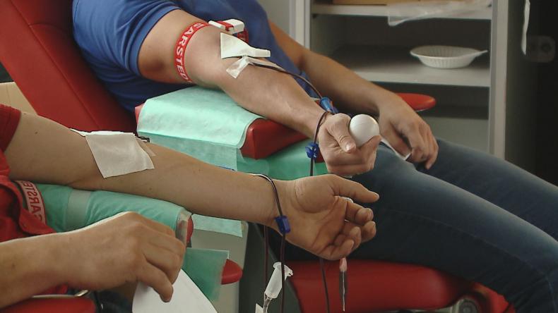 31 litrów krwi dla Kasi i innych