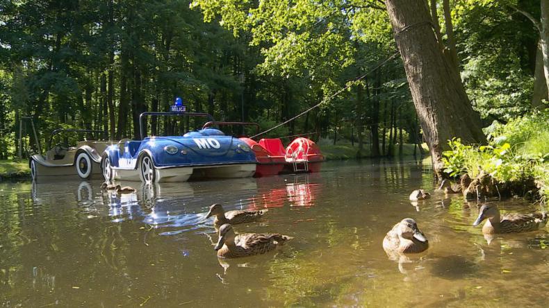 Jak dbać o bezpieczeństwo piskląt?