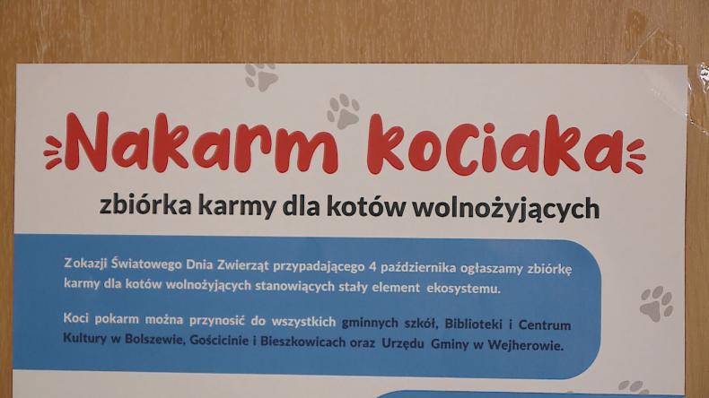 Urzędnicy zaangażowali się w zbiórkę karmy dla kotów