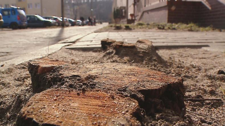 Spór o żywopłot, śmietniki i parking przy ul. Harcerskiej