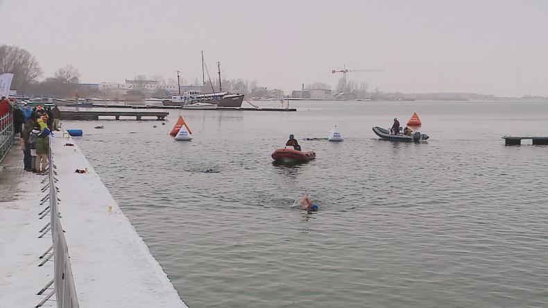 „Lodowe Lwy Morskie” w Pucku