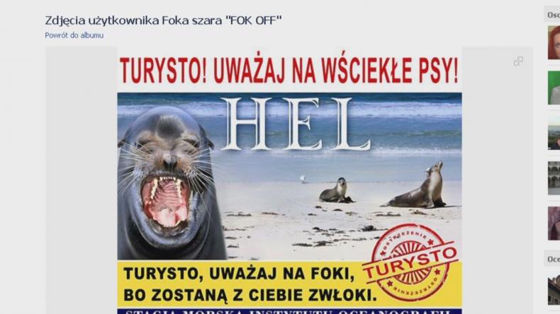 Krwiożercze foki z plakatu psują wizerunek Helu w sieci