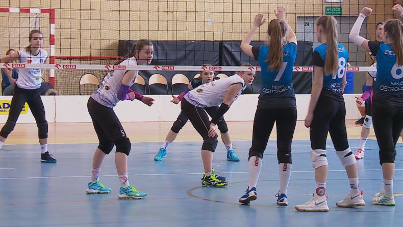 Kadetki APSu o mistrzostwo polski powalczą u siebie