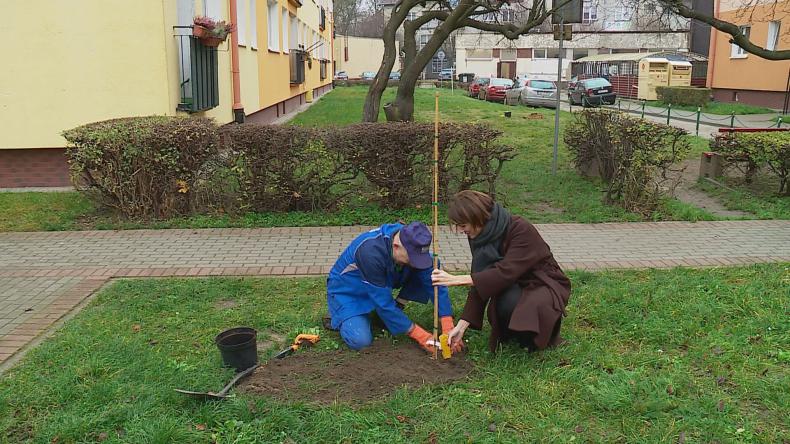 Posadzili drzewa w ramach akcji KLIMATycznie