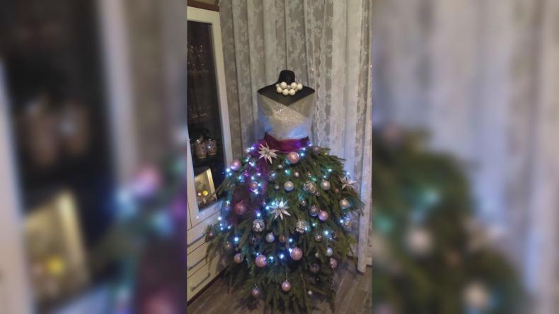 Choinkowy zawrót głowy portalu Nadmorski24.pl