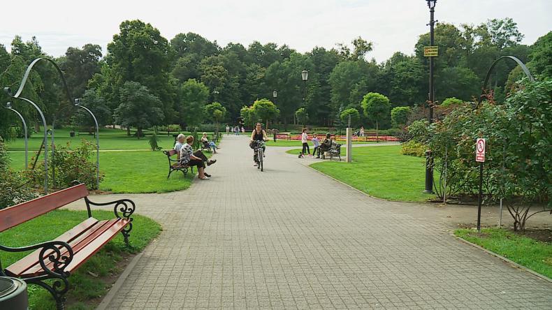 Więcej ścieżek, kamer i automatyczna toaleta w parku