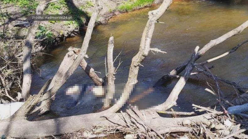 Ciało mężczyzny w rzece Redzie