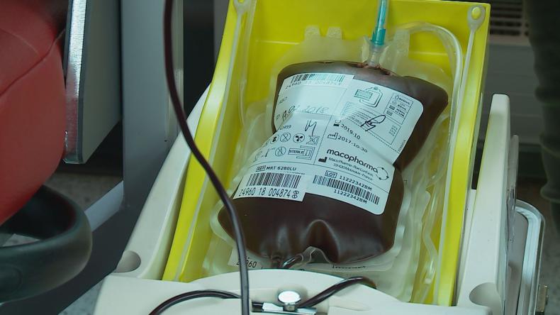 Krewniacy jak zwykle niezawodni