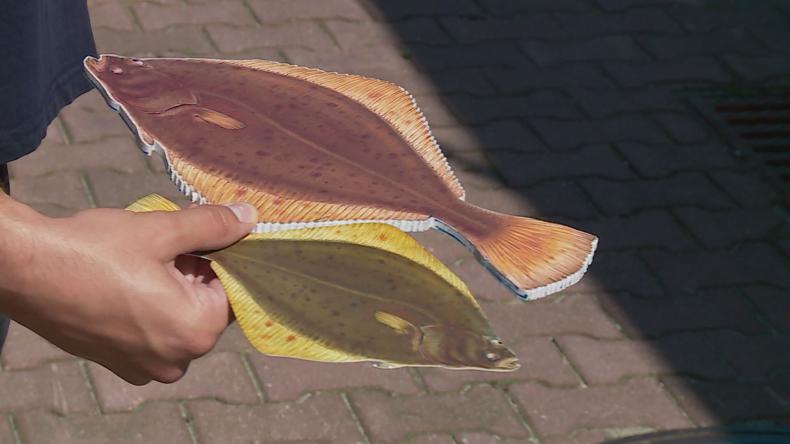 Dzień Ryby w Helu jak co roku na bogato