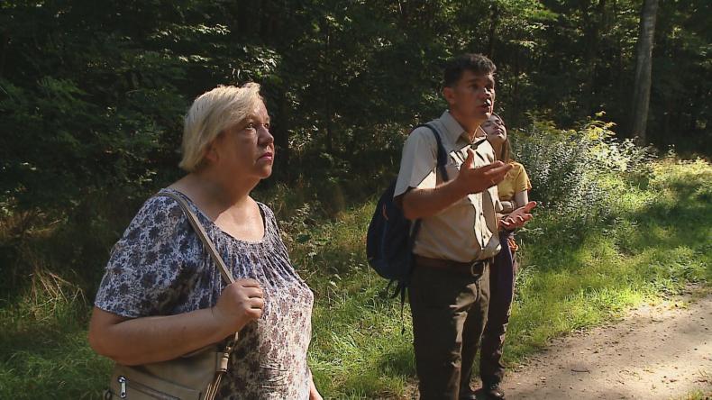 Spacerowali z leśnikiem i poznawali las