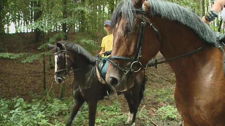 Kaszuby z siodła piękne nie tylko latem