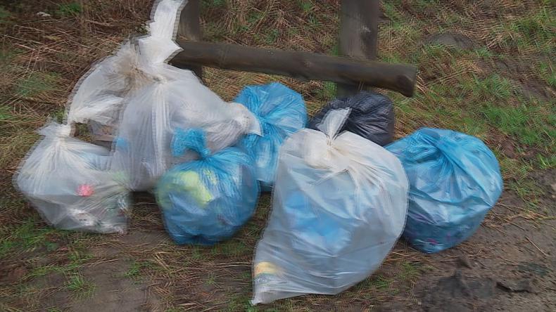 Wyzwanie podjęte – czas na porządki w lesie