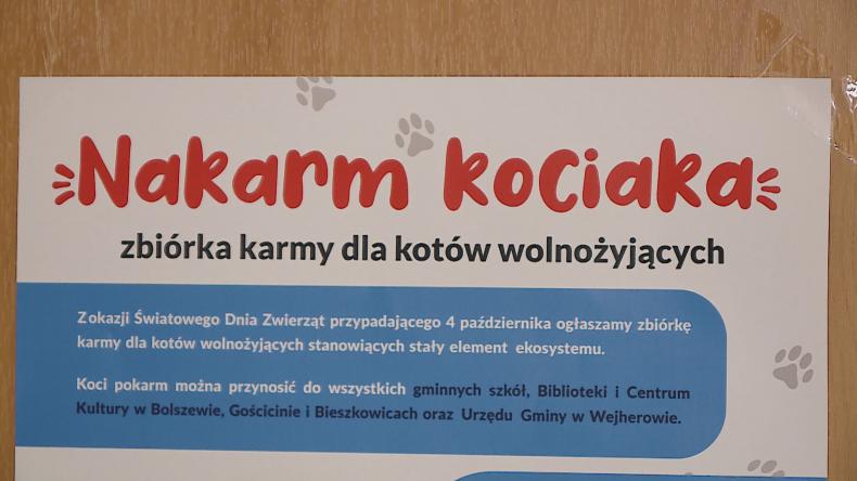 Urzędnicy zaangażowali się w zbiórkę karmy dla kotów