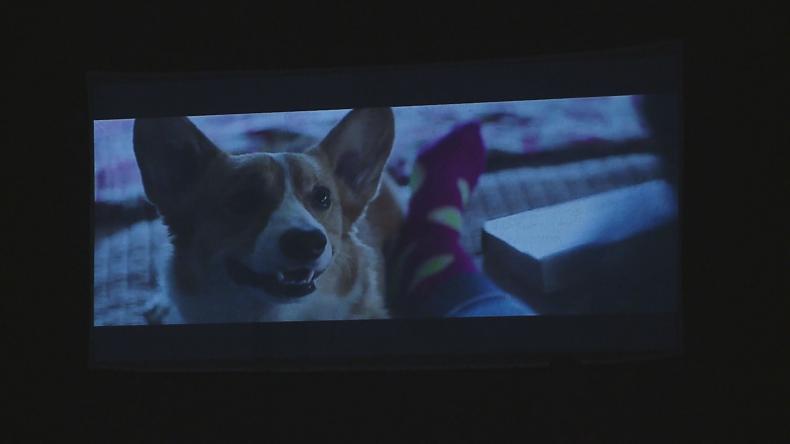 Kino pod chmurką i film familijny