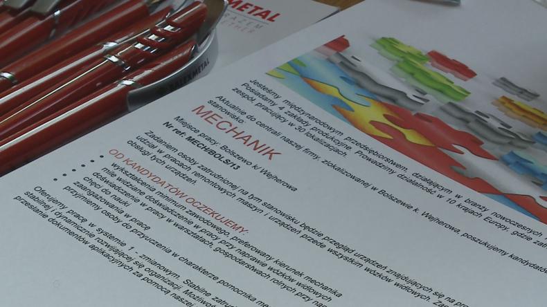 Festiwal oczekiwań. Tłumy na Targach Pracy
