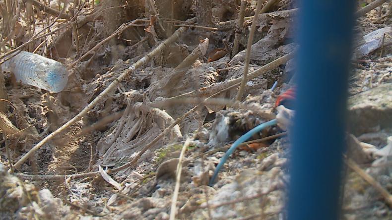 Mieszkańcy mają dość kłopotliwego sąsiada