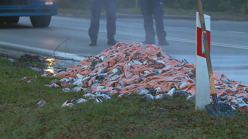Piątek pod znakiem ryb… na drogach