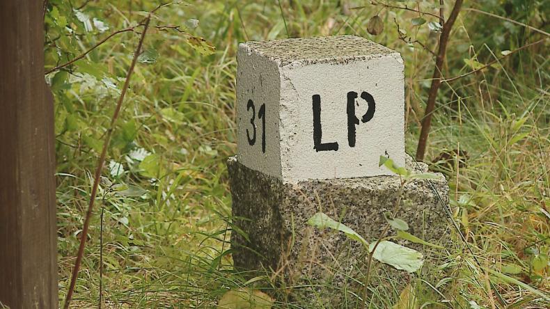 Jak nie zgubić się w lesie?