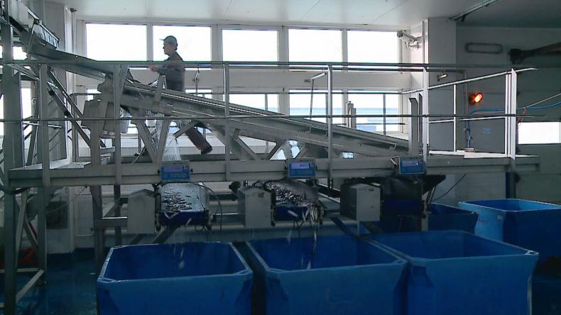 Szkuner inwestuje w sprzęt i zwiększa produkcję