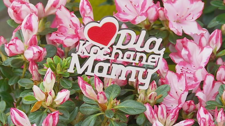 Dziś święto wszystkich mam