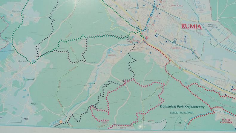 Rumia szuka swojego loga