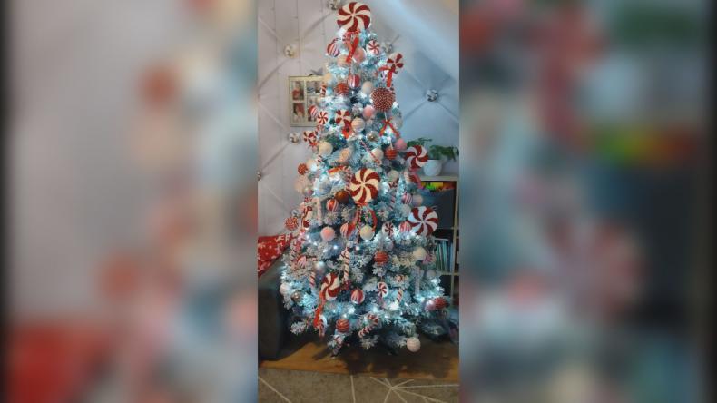 Choinkowy zawrót głowy rozstrzygnięty!