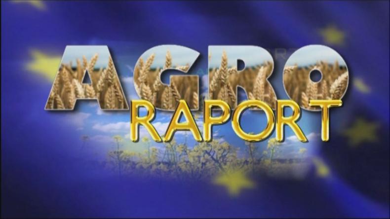 Agro Raport - Plantacje drewna firmy papierniczej