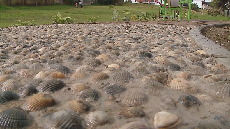 Nowa atrakcja w luzińskim parku