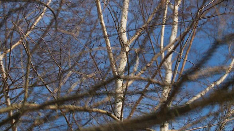 Kilkadziesiąt interwencji z powodu silnego wiatru