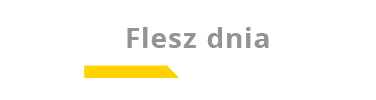 Flesz dnia